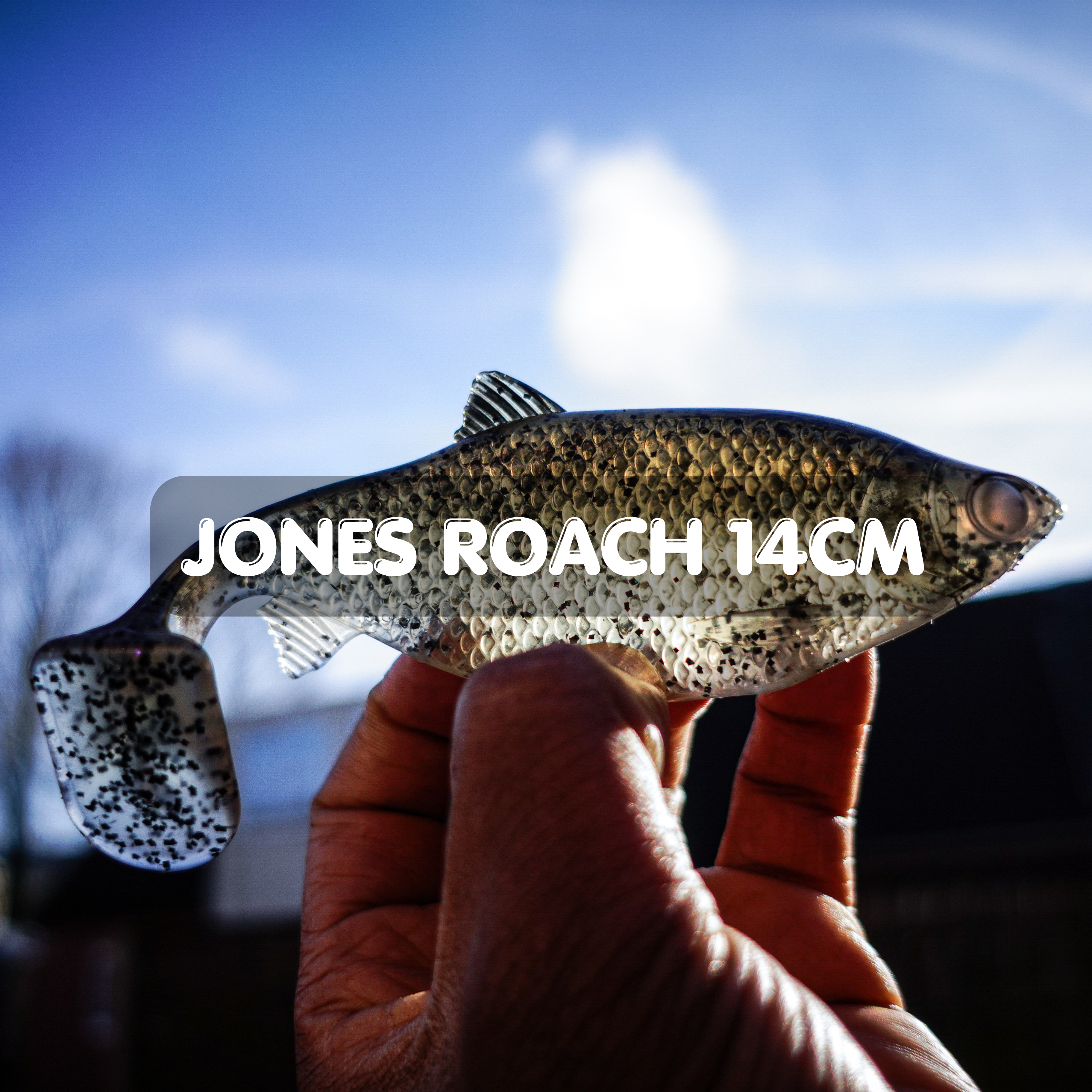 Jones Roach 14cm