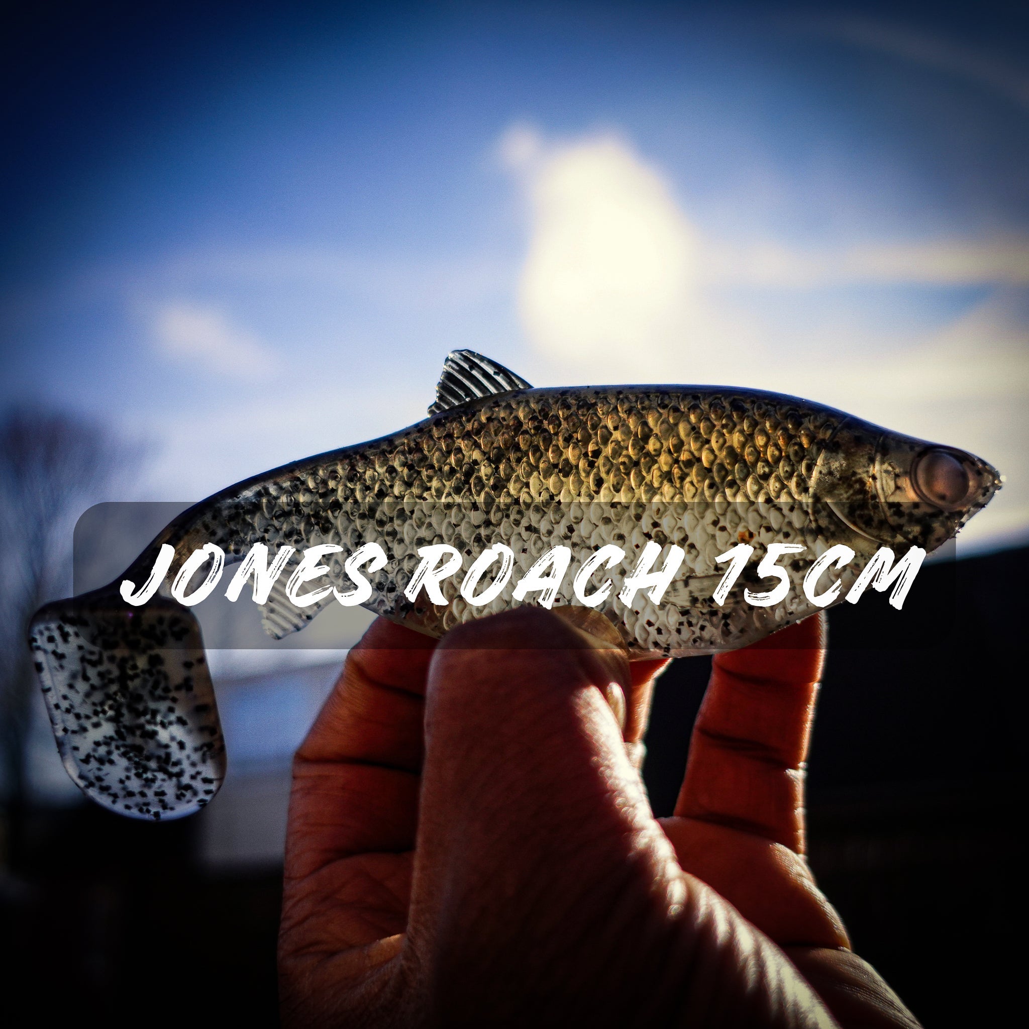 Jones Roach 15cm