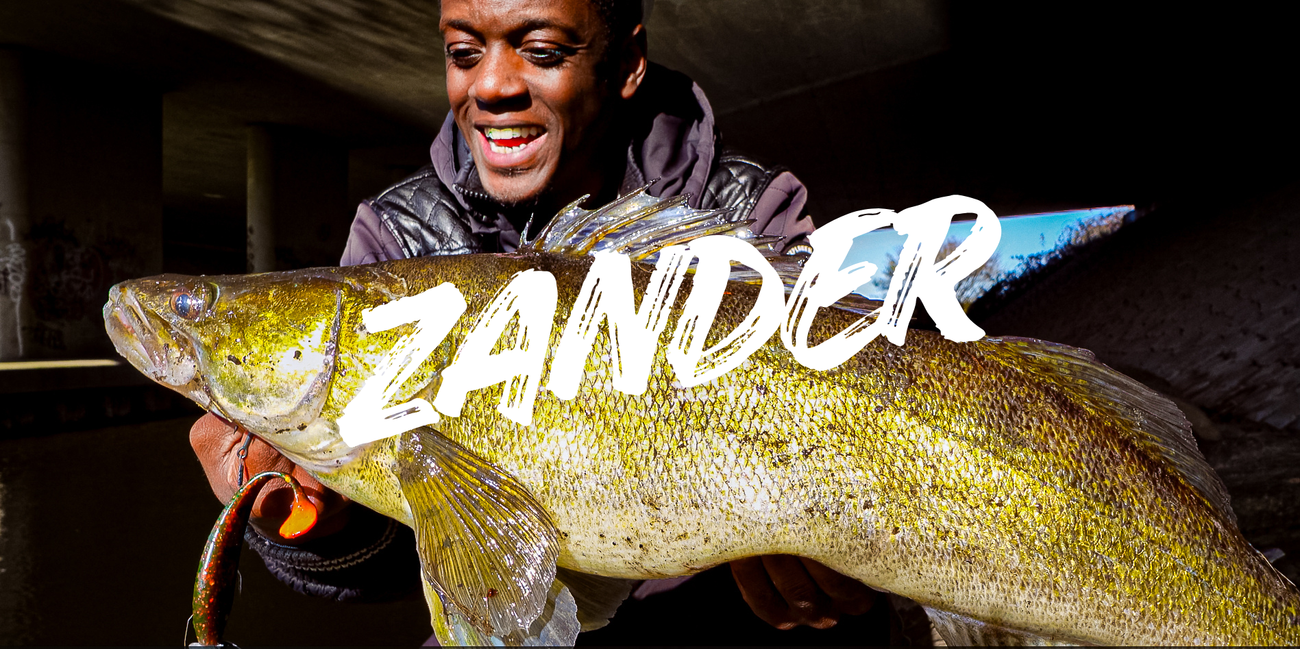Zander