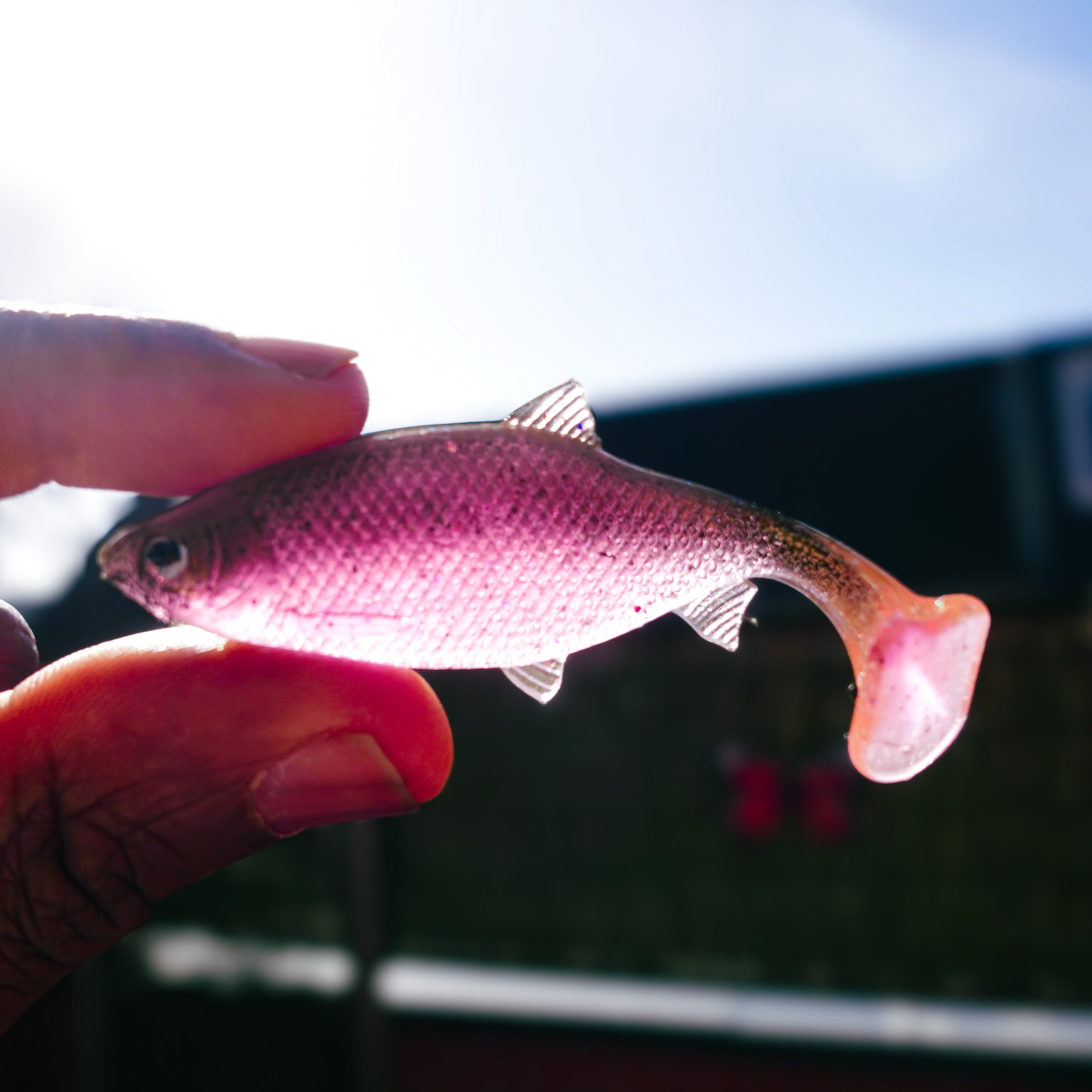 Jones Roach Motoroil Royale 6cm - 4pcs