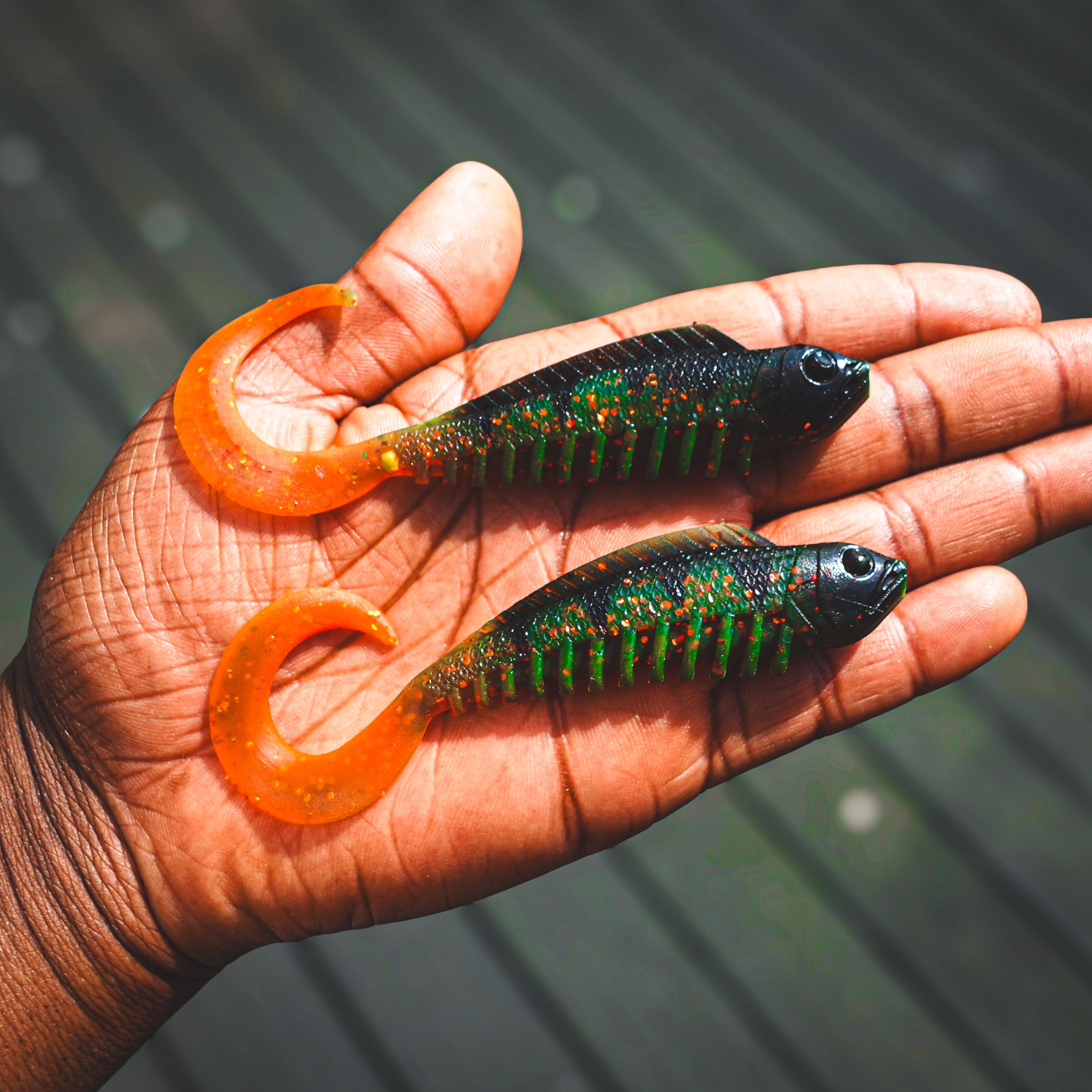 Curly Creeper Motoroil Perch 10 cm - 2pcs