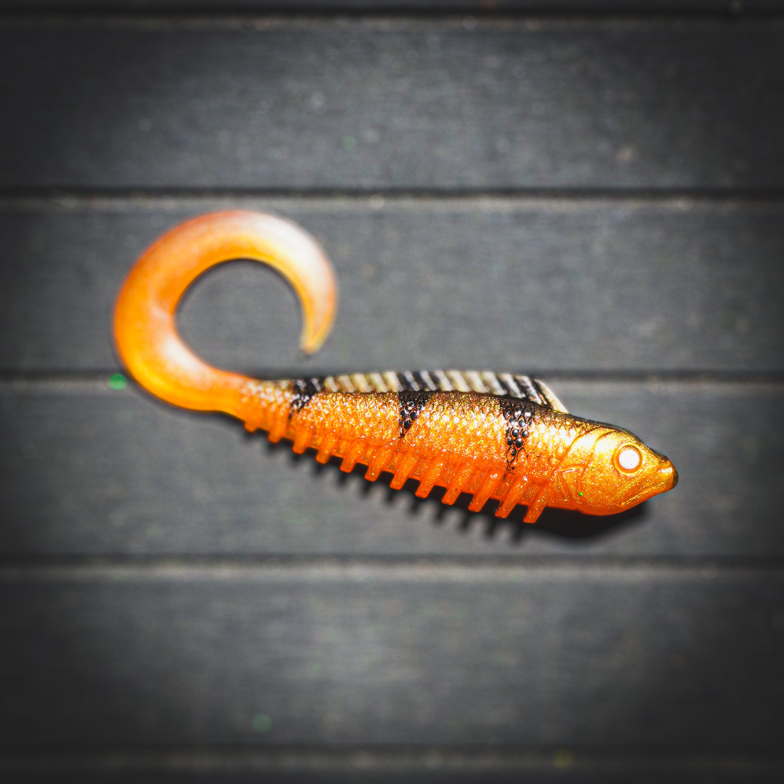 Curly Creeper Orange Tiger 10 cm - 2pcs