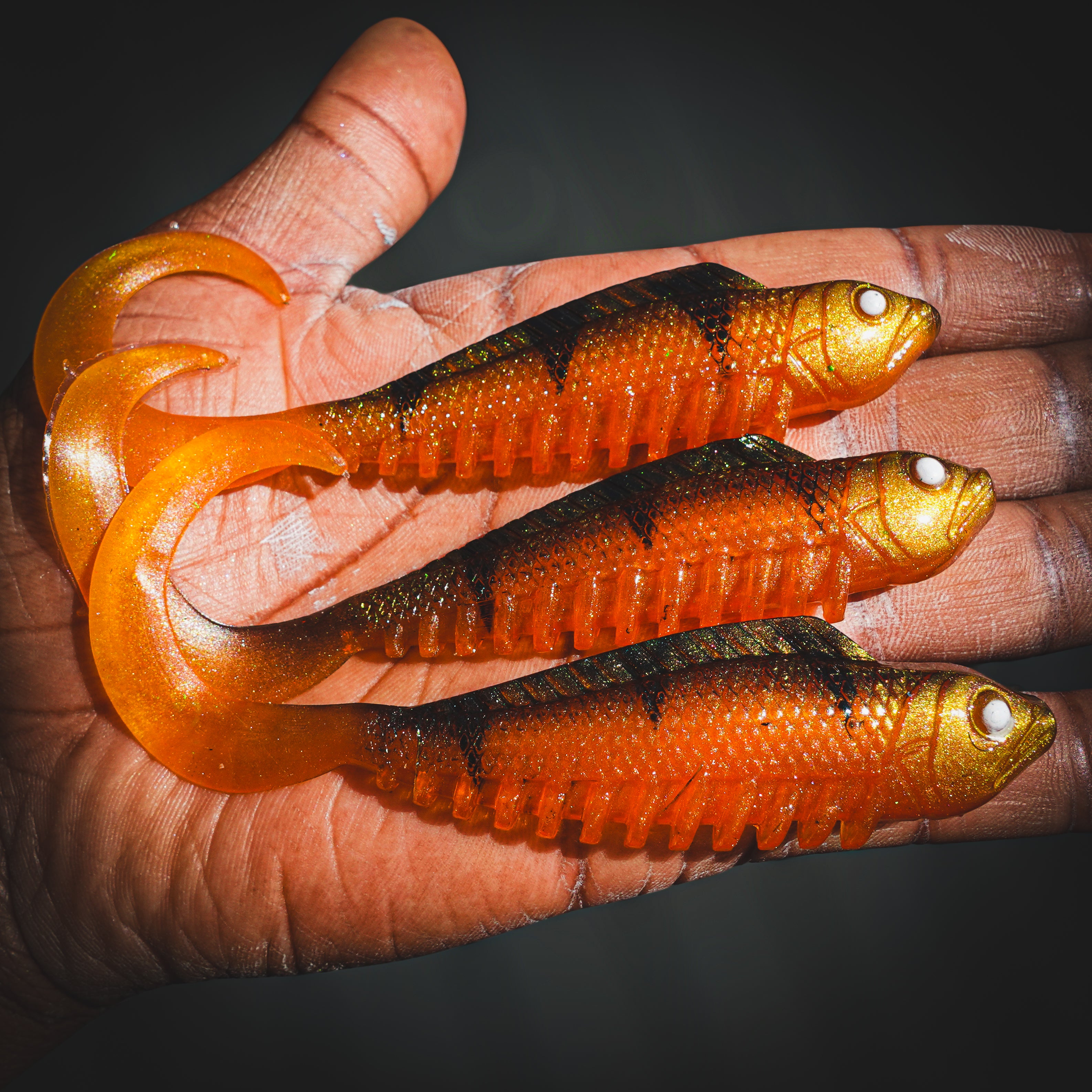 Curly Creeper Orange Tiger 10 cm - 2pcs