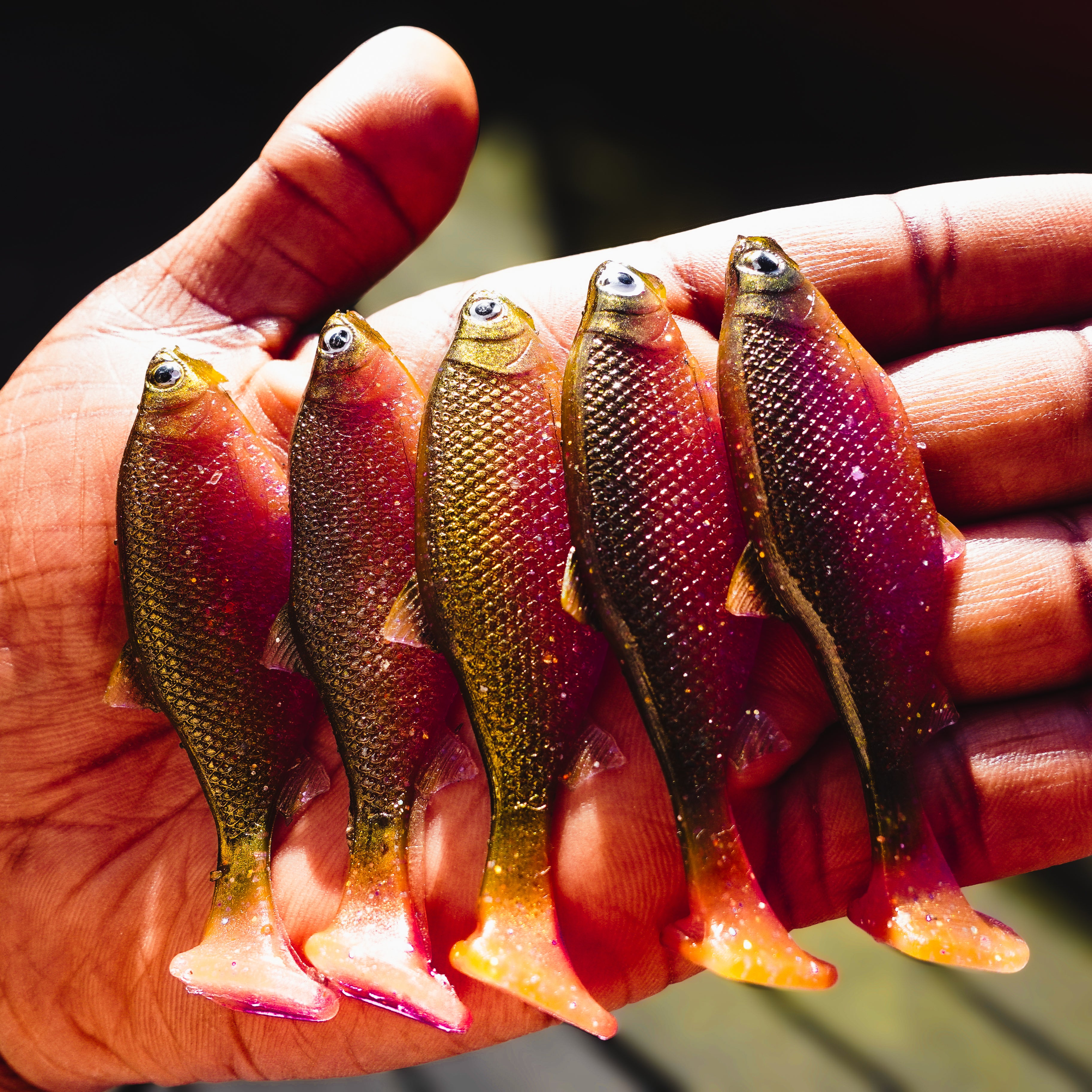 Jones Roach Motoroil Royale 6cm - 4pcs