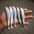 Theseus Roach 12cm -4pcs