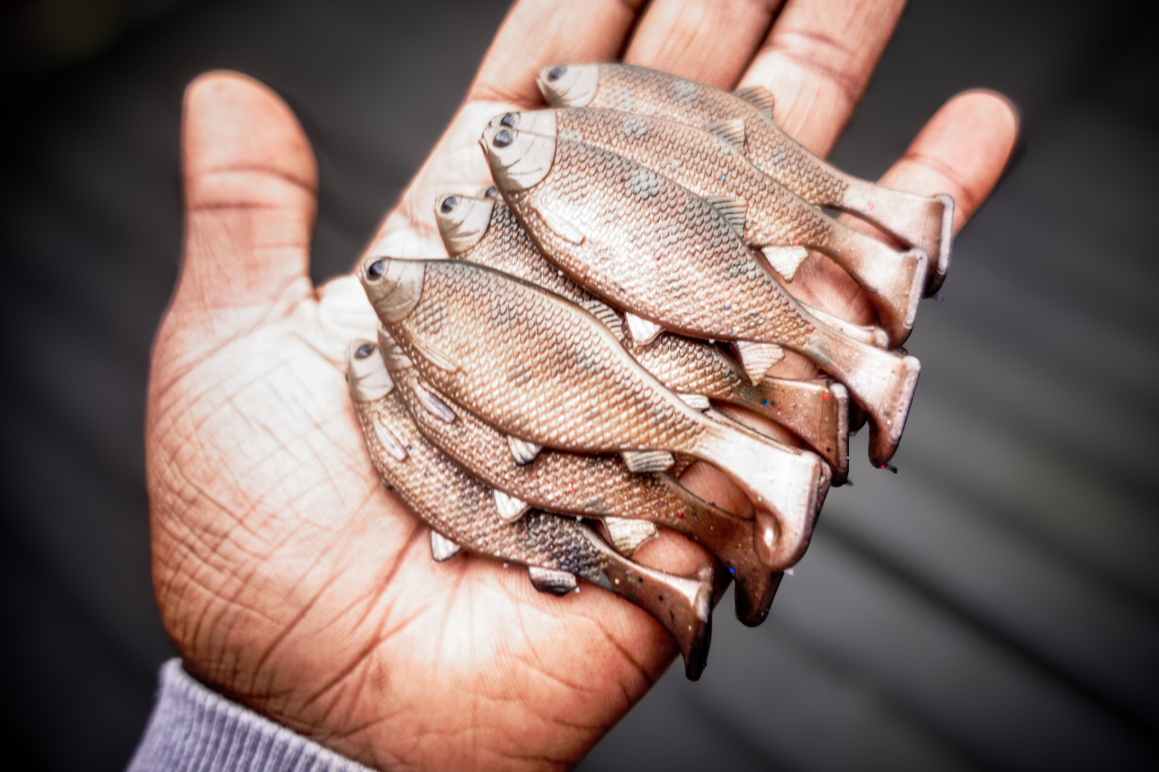 Jones Roach Brown Trout 6cm - 4pcs