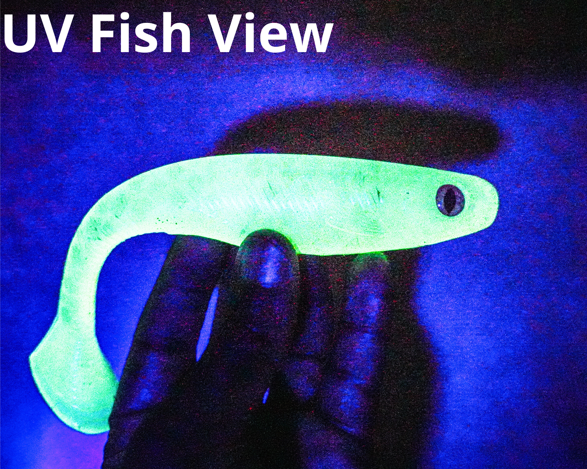 Pike Catcher Calvin 15cm