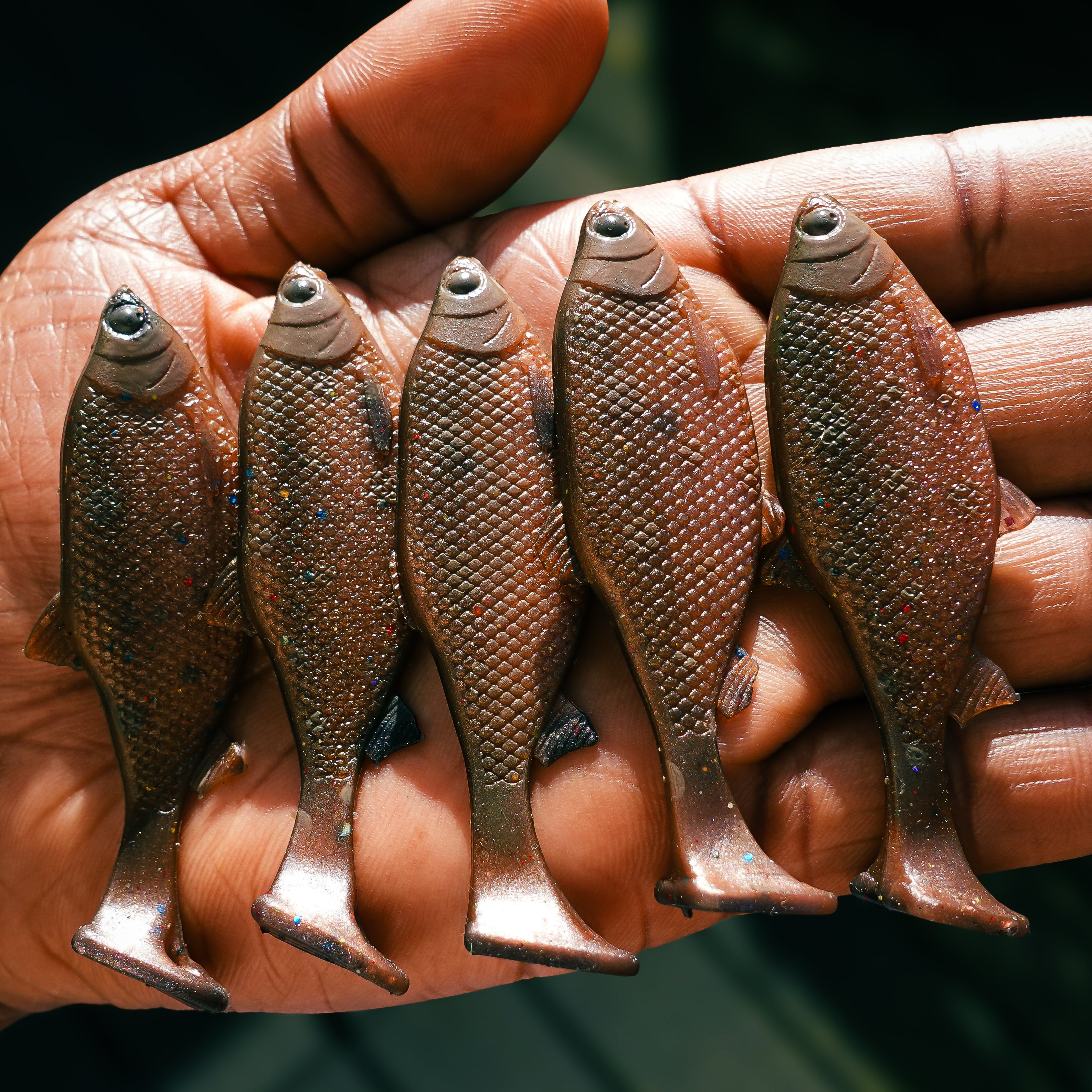 Jones Roach Brown Trout 6cm - 4pcs