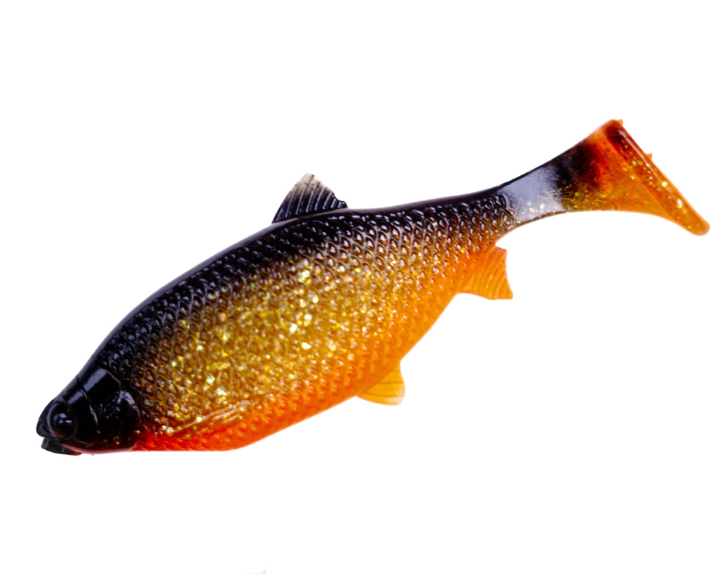 Jones Roach Golden Roach 6cm - 4pcs