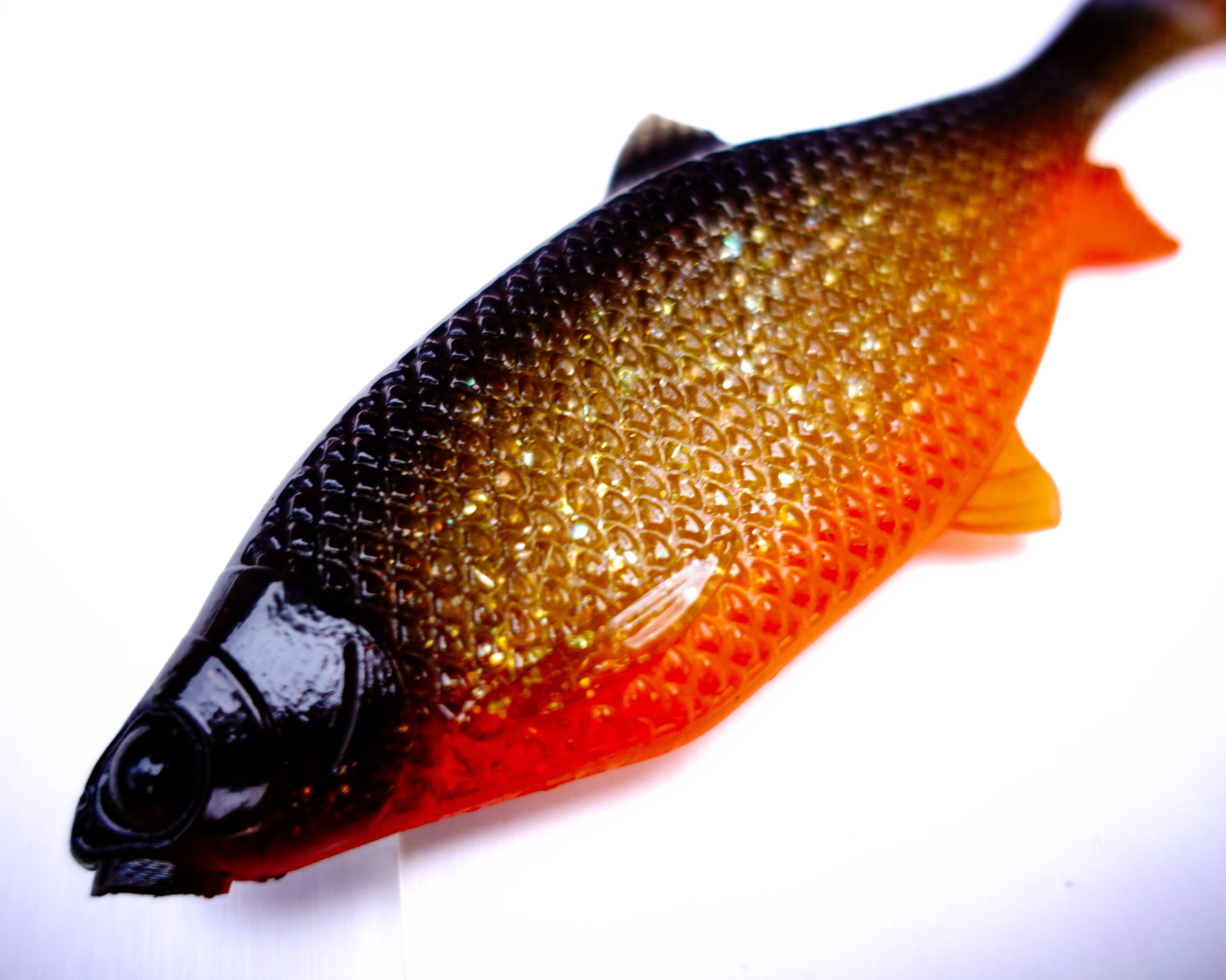 Jones Roach Golden Roach 6cm - 4pcs