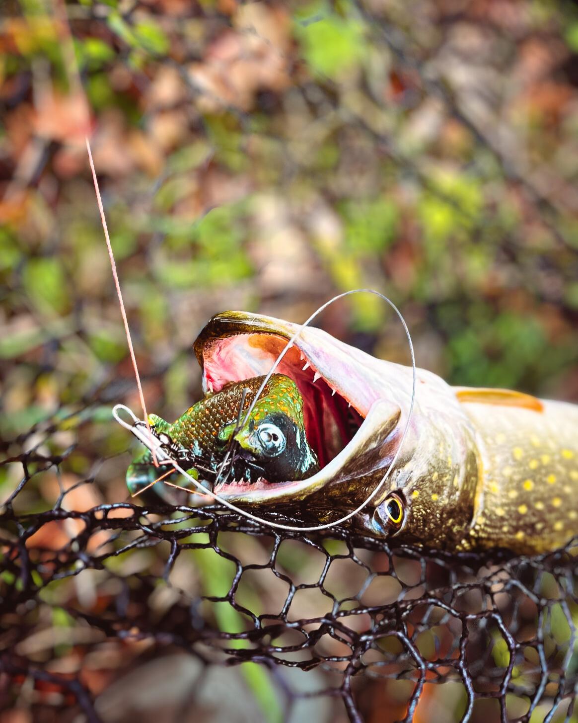 Jones Roach Motoroil Hulken 15cm