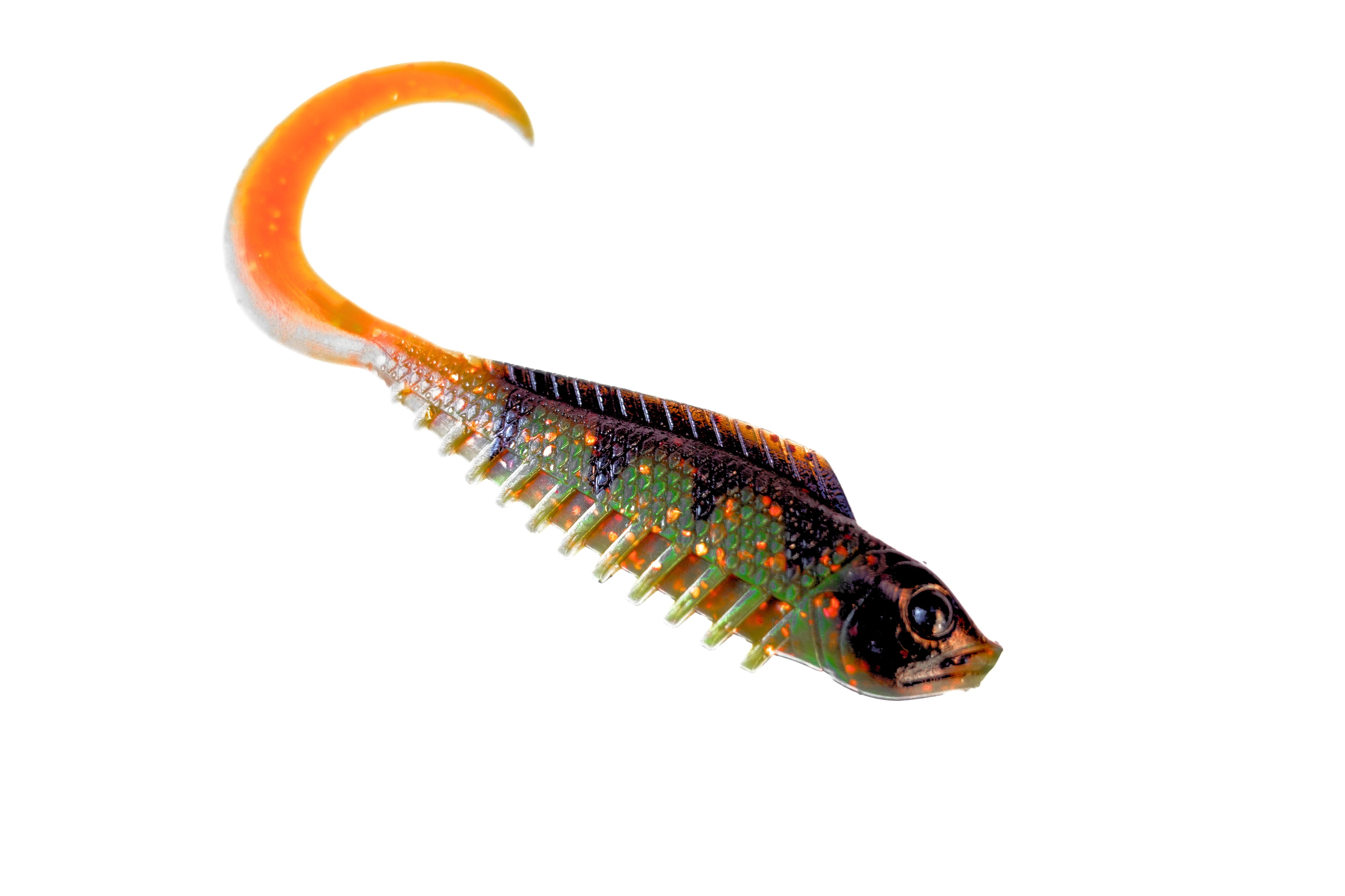 Curly Creeper Motoroil Perch 10 cm - 2pcs