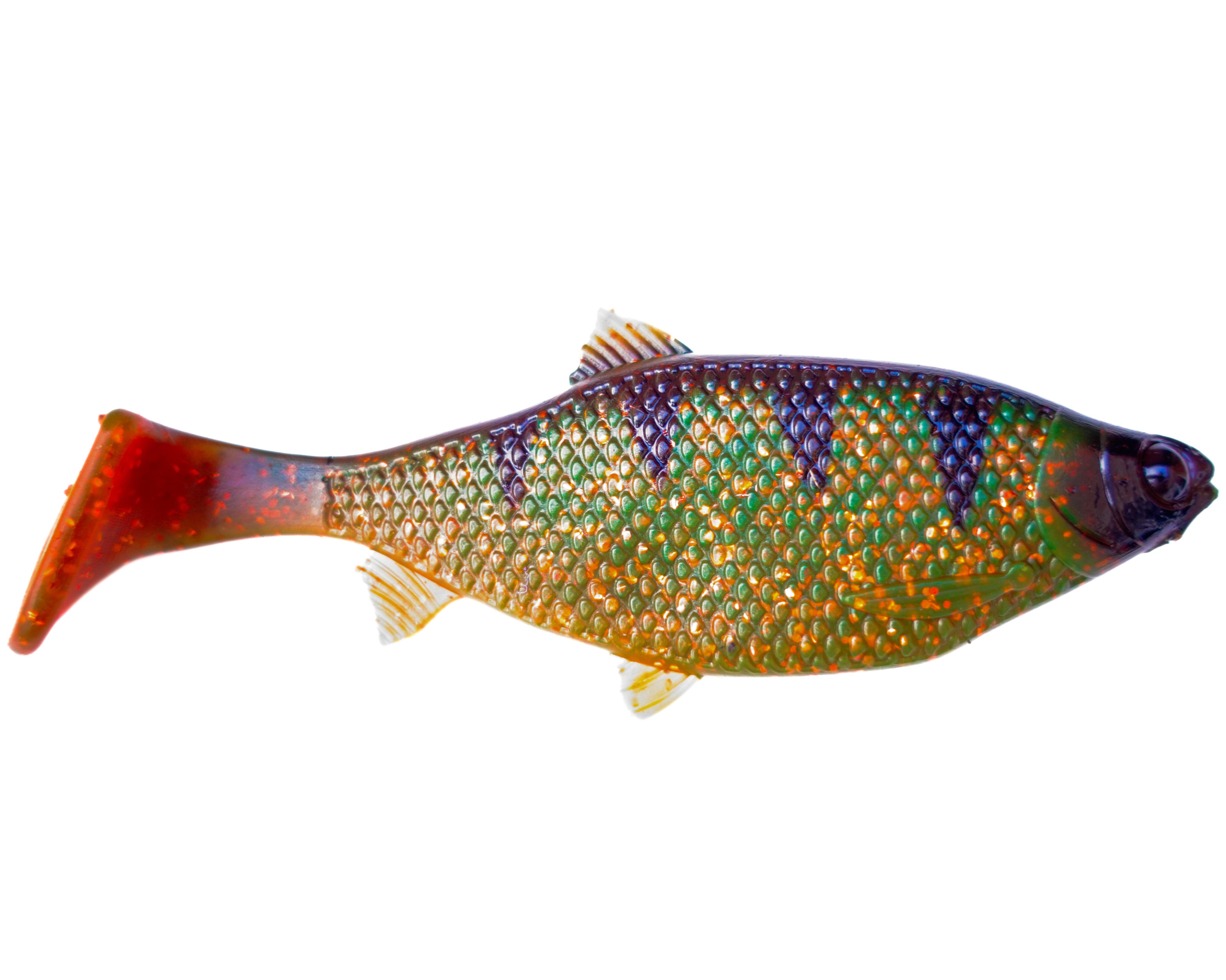 Jones Roach Motoroil Perch 15cm