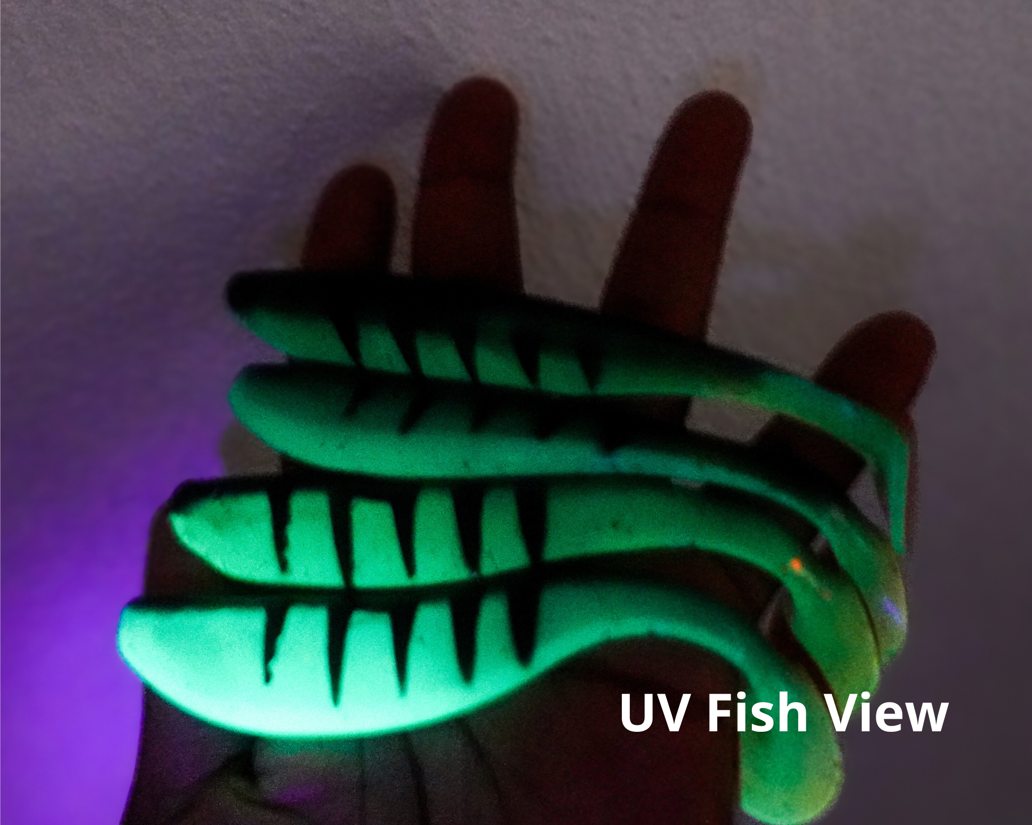 Theseus Motoroil Perch 12cm -4pcs