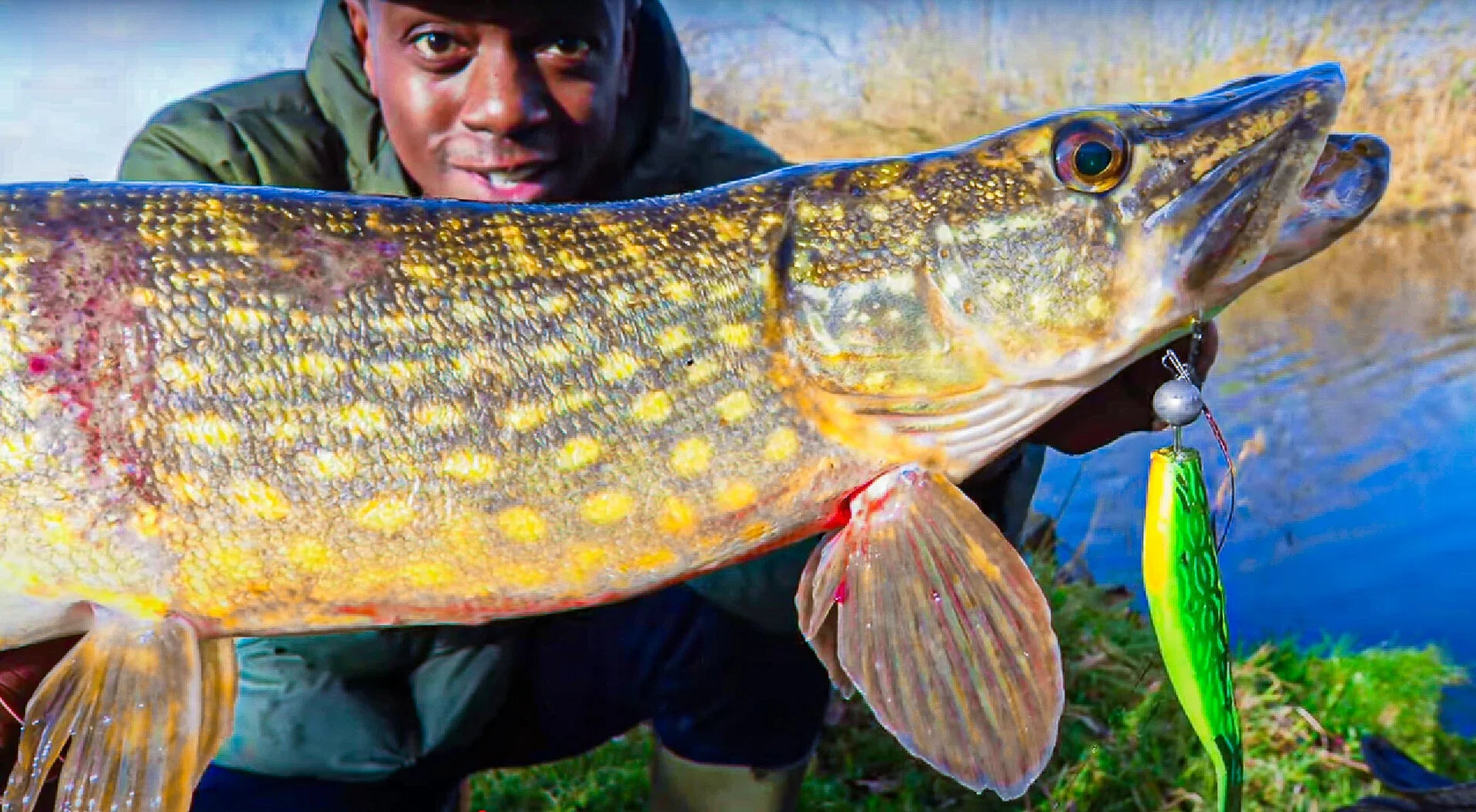 Theseus Tequila Sunrise 12cm -4pcs