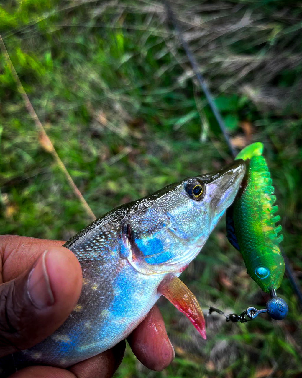 Curly Creeper UV Green 10 cm - 2pcs