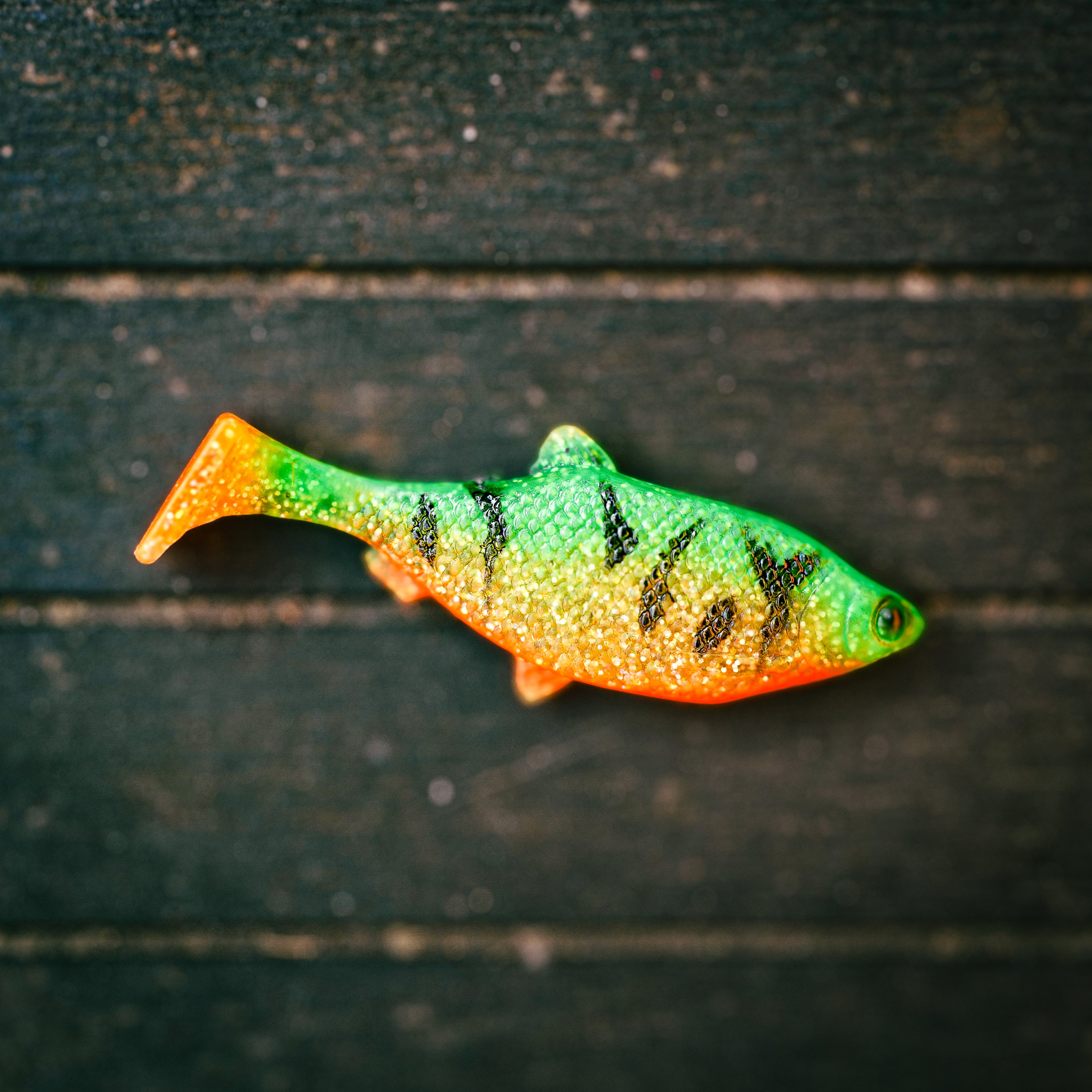 Jones Roach Fire Tiger 6cm - 4pcs