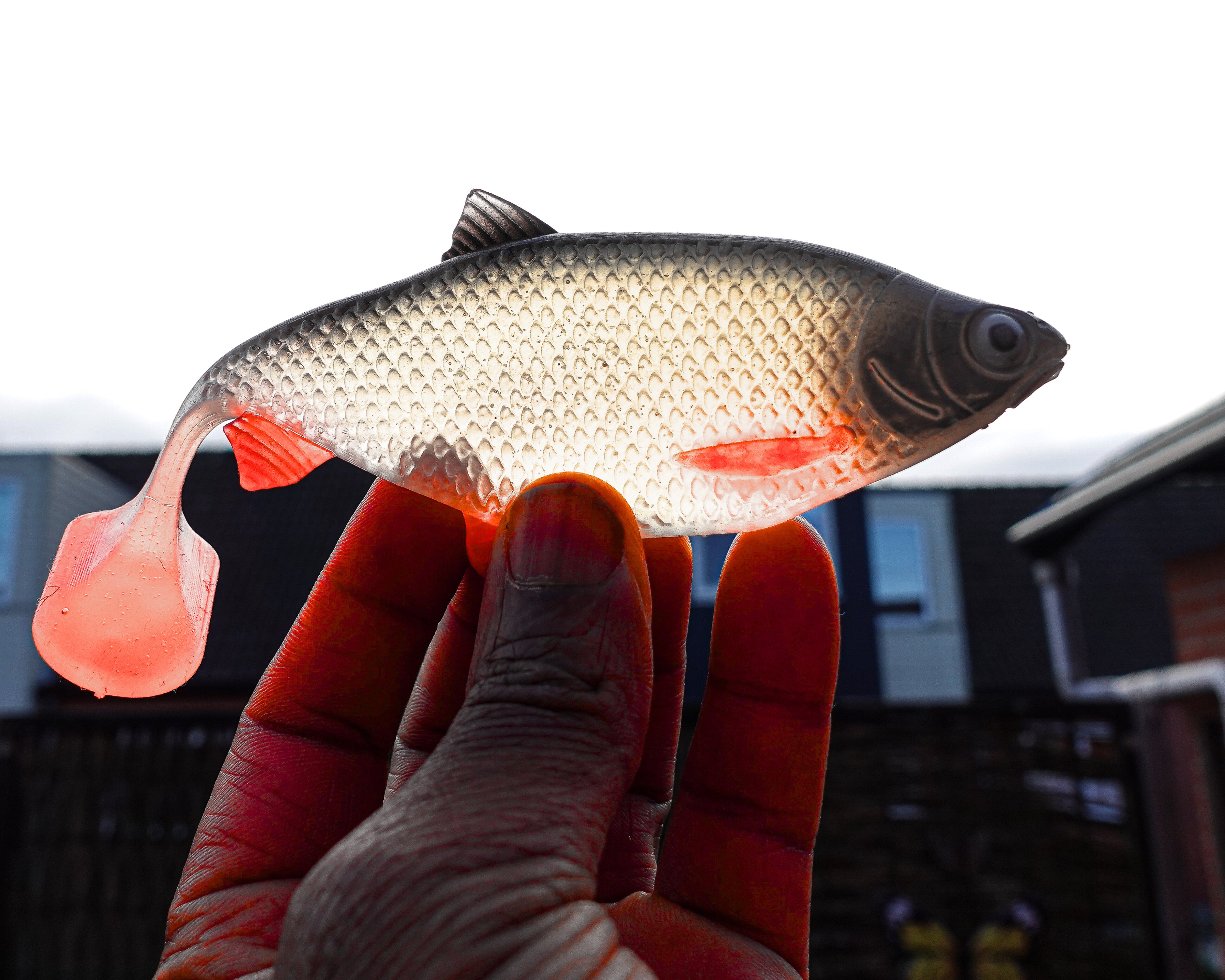 Jones Roach UV Roach 15cm