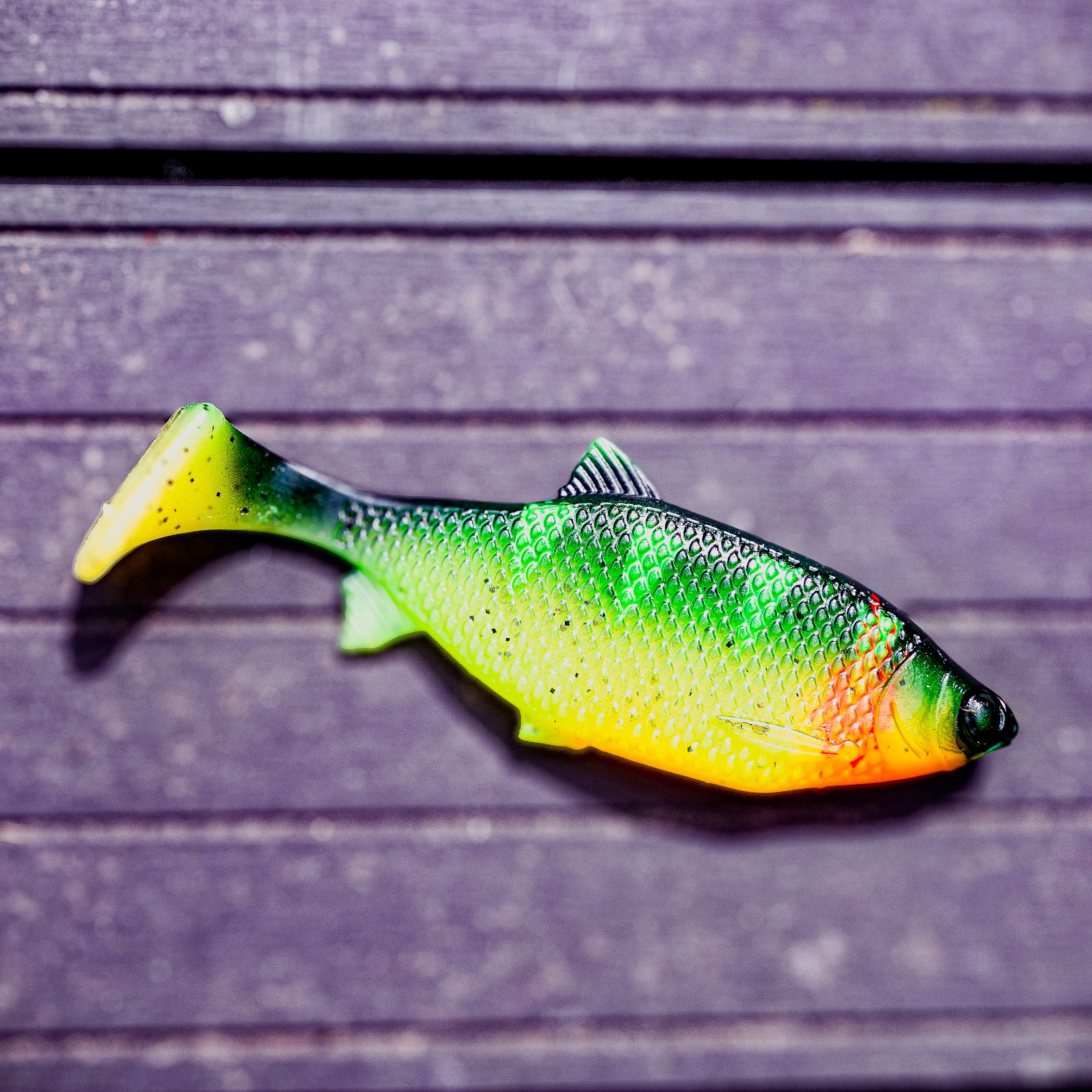 Jones Roach People's Choice 15cm