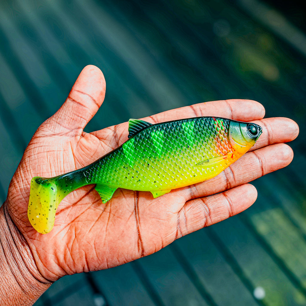 Jones Roach People's Choice 15cm