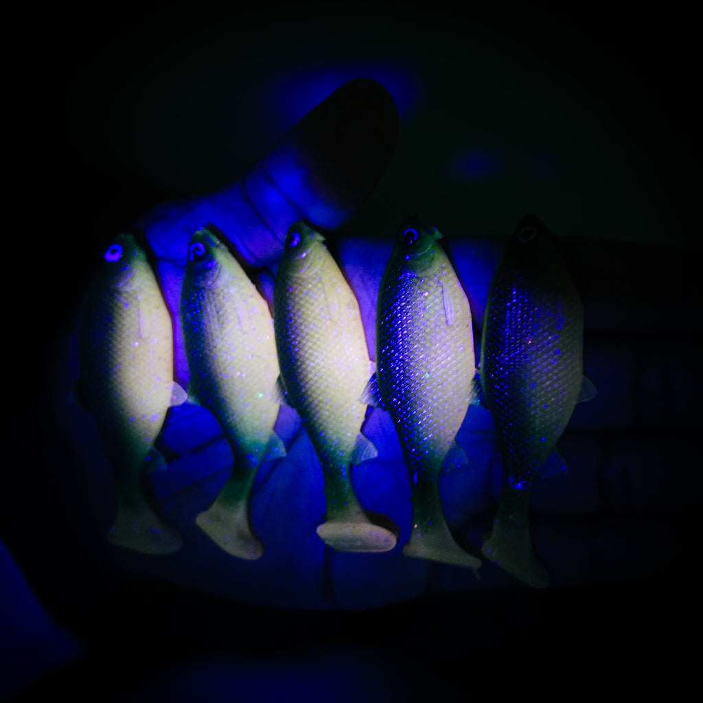 Jones Roach Motoroil Royale 6cm - 4pcs