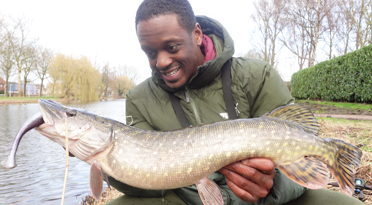 Pike Catcher Midnight Purple 18cm