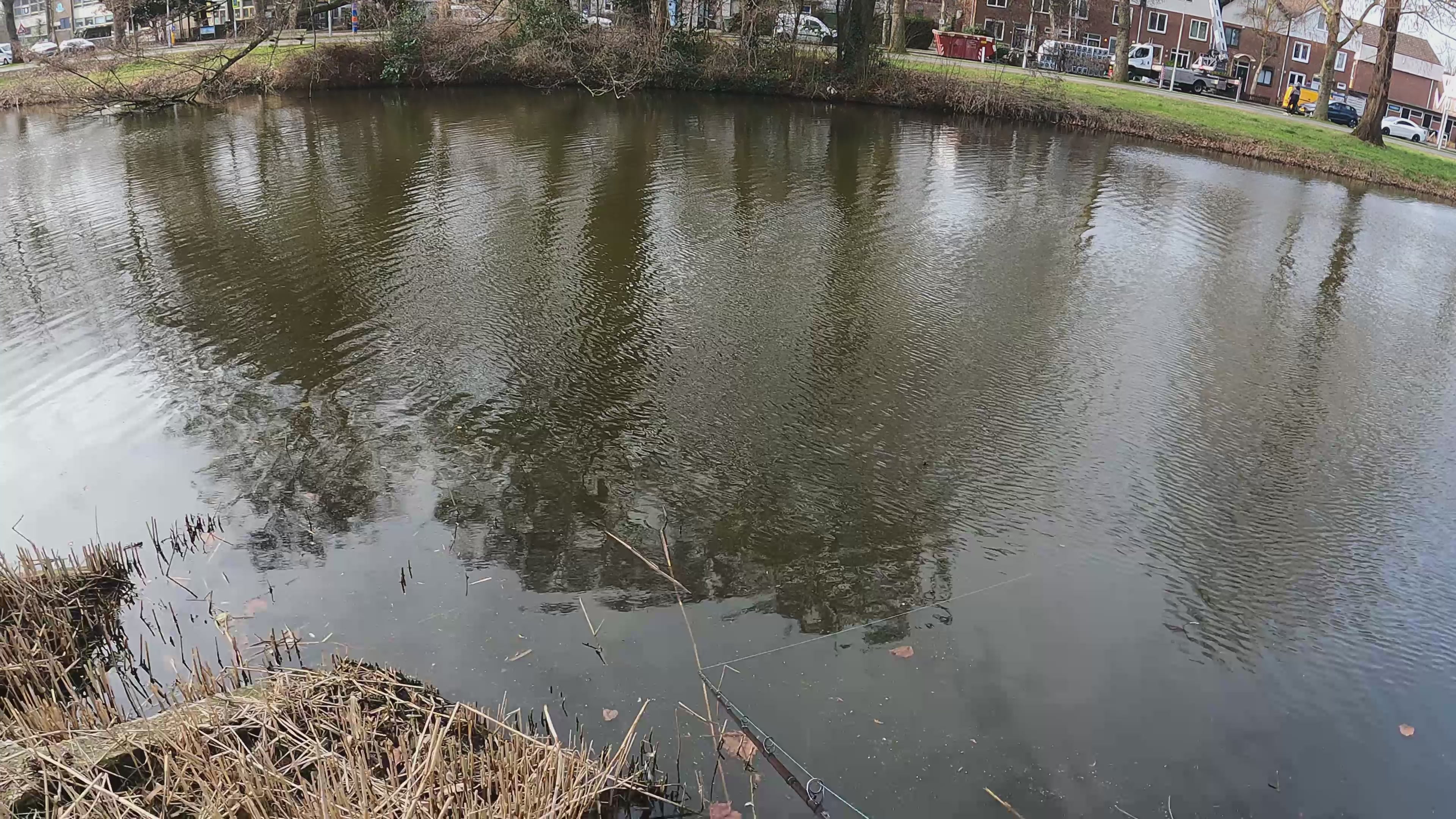 Pike Catcher Midnight Purple 18cm