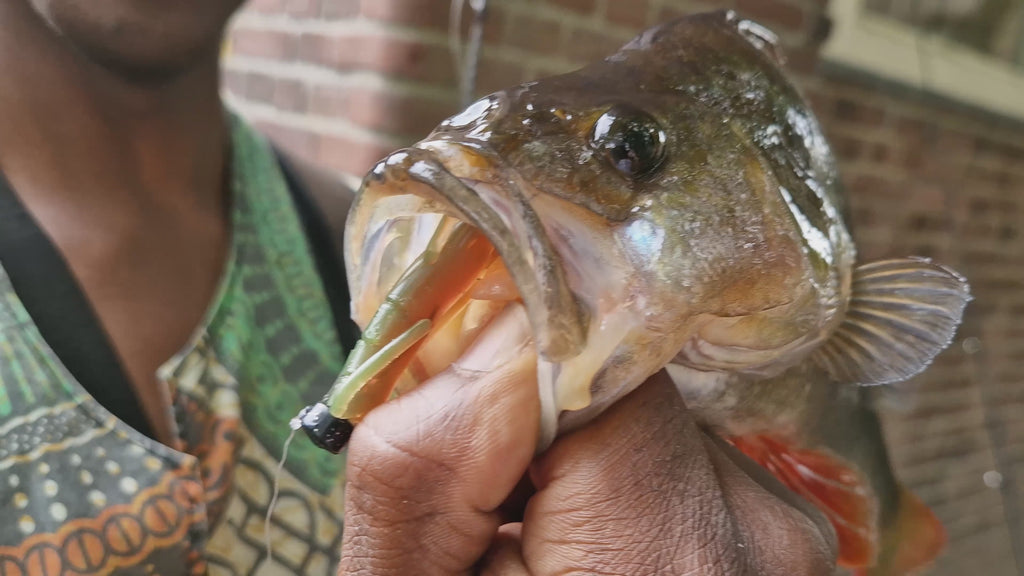 LEF Craw Motoroil 8cm - 5pcs